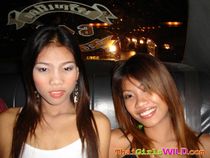 Mature Slags and BBW